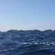7. IMG_3218,I.jpg